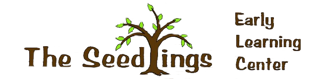 The Seedlings Early Learning Center Inc.